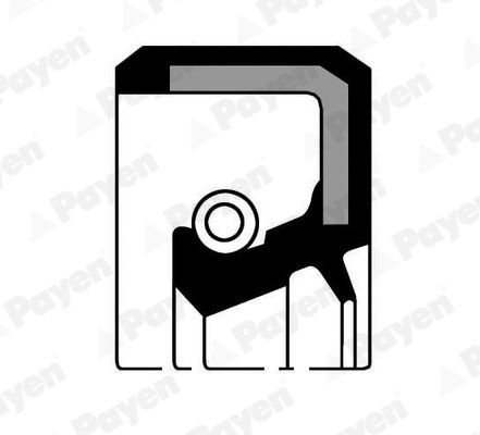 Veleno sandariklis, alkūninis velenas PAYEN NJ154