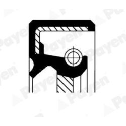 Veleno sandariklis, neautomatinė transmisija PAYEN NJ484