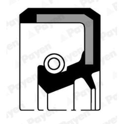 Veleno sandariklis, neautomatinė transmisija PAYEN NJ611