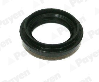 Veleno sandariklis, diferencialas PAYEN NA5502