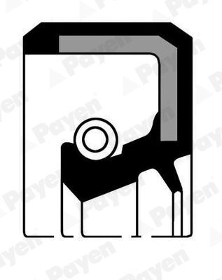 Veleno sandariklis, rato stebulė PAYEN NJ088