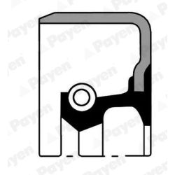 Veleno sandariklis, rato stebulė PAYEN NJ825