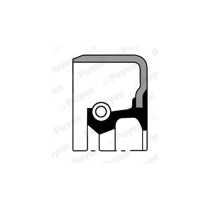 Veleno sandariklis, rato stebulė PAYEN NJ825