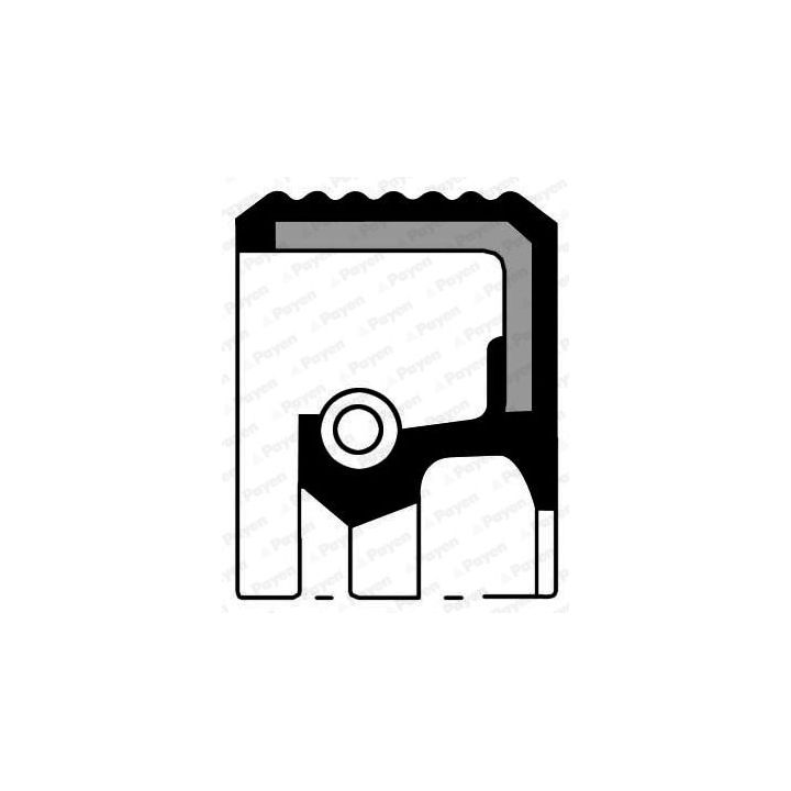 Veleno sandariklis, skirstomasis velenas PAYEN NB958