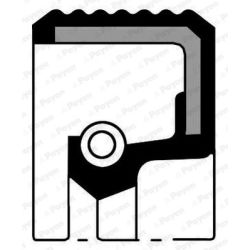 Veleno sandariklis, skirstomasis velenas PAYEN NJ321