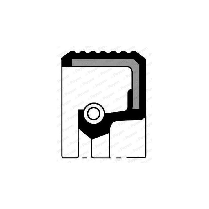 Veleno sandariklis, skirstomasis velenas PAYEN NJ321