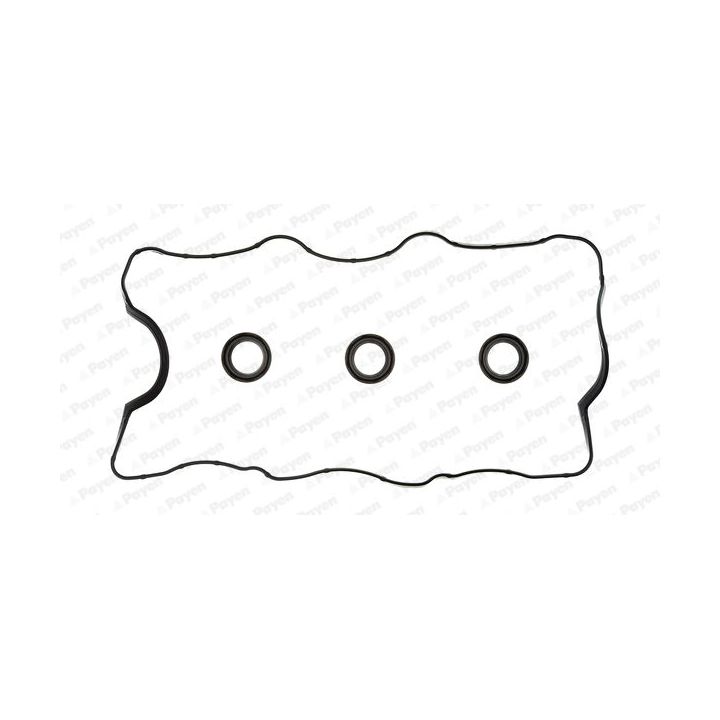 Tarpiklių komplektas, svirties gaubtas PAYEN HM5250