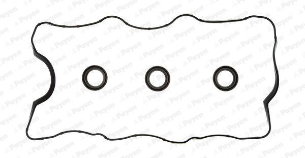 Tarpiklių komplektas, svirties gaubtas PAYEN HM5250