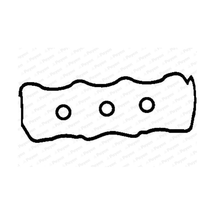 Tarpiklių komplektas, svirties gaubtas PAYEN HM5250