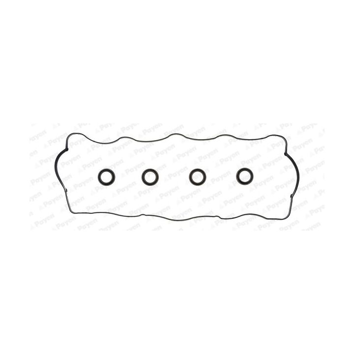 Tarpiklių komplektas, svirties gaubtas PAYEN HM5251