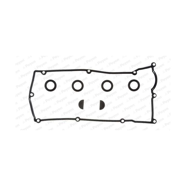 Tarpiklių komplektas, svirties gaubtas PAYEN HM5260