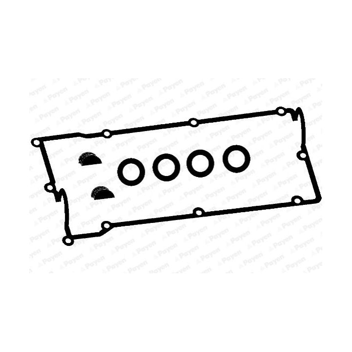 Tarpiklių komplektas, svirties gaubtas PAYEN HM5260