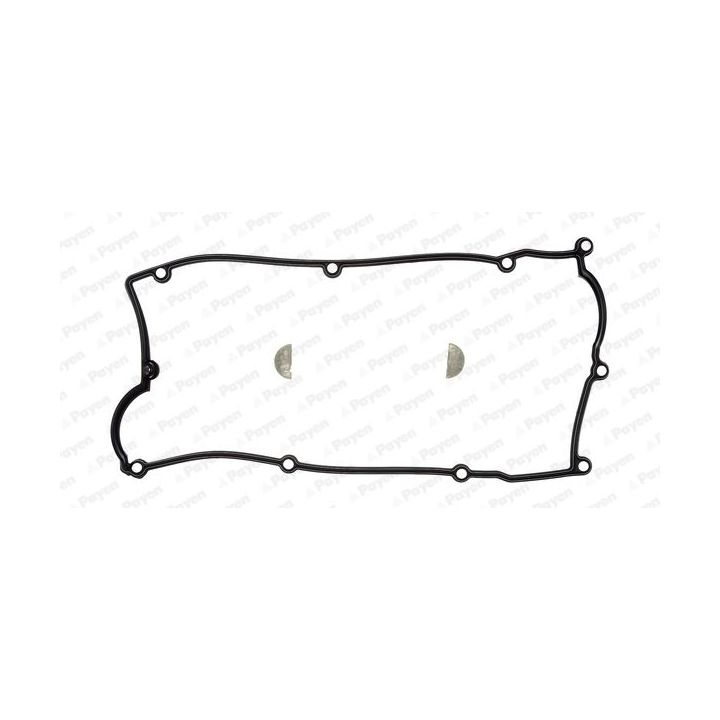 Tarpiklių komplektas, svirties gaubtas PAYEN HM5261