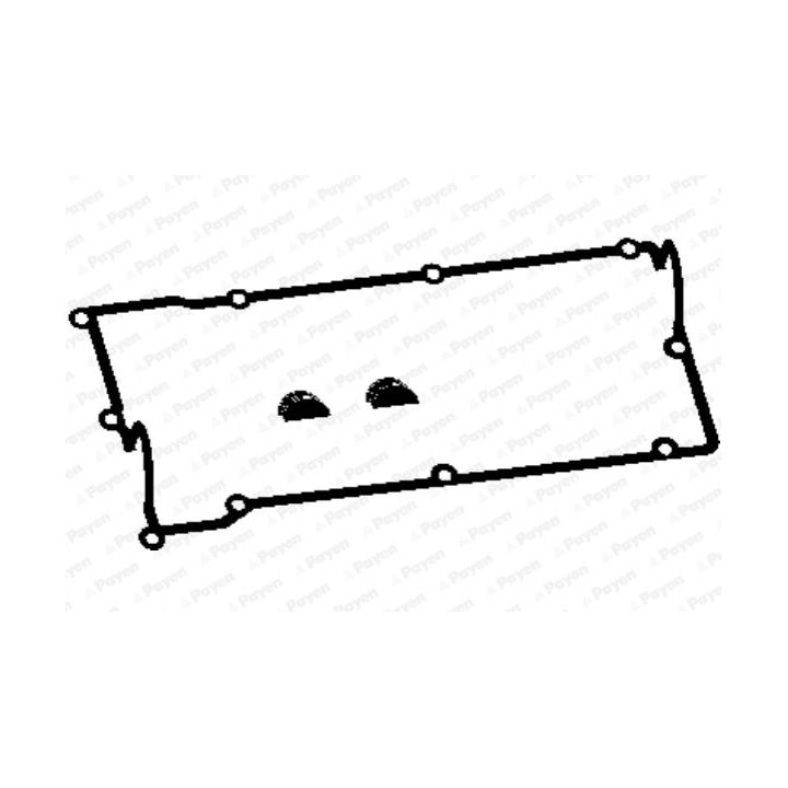 Tarpiklių komplektas, svirties gaubtas PAYEN HM5261