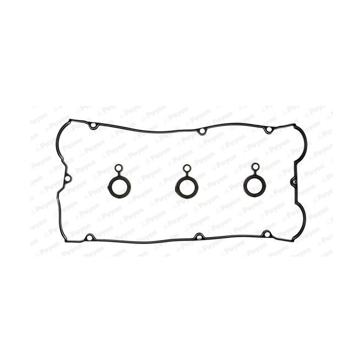 Tarpiklių komplektas, svirties gaubtas PAYEN HM5264