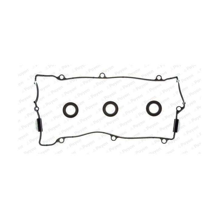 Tarpiklių komplektas, svirties gaubtas PAYEN HM5265