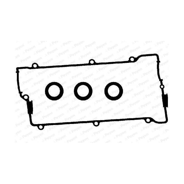 Tarpiklių komplektas, svirties gaubtas PAYEN HM5265