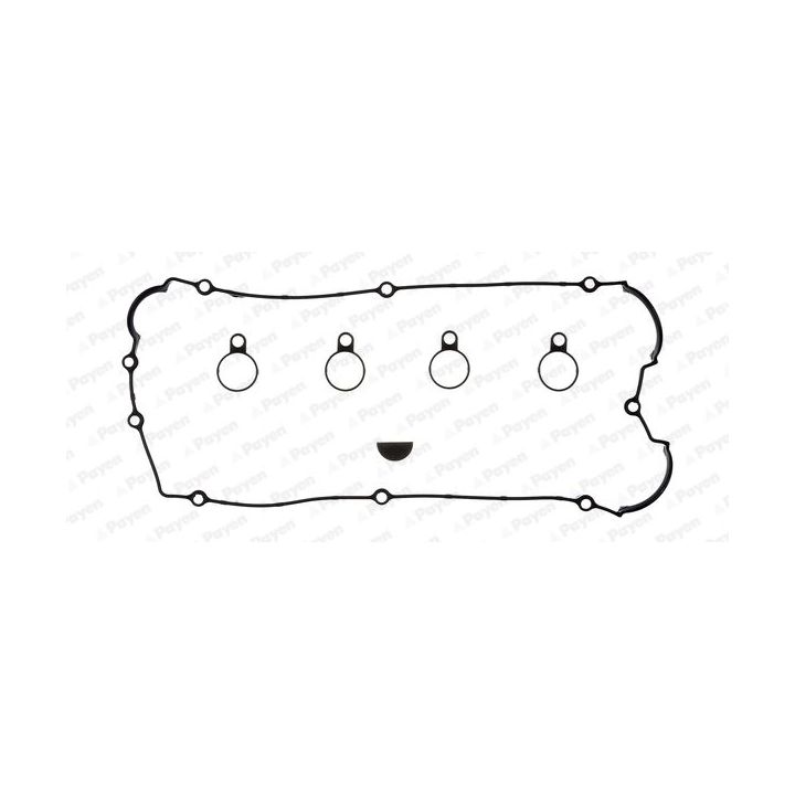 Tarpiklių komplektas, svirties gaubtas PAYEN HM5272