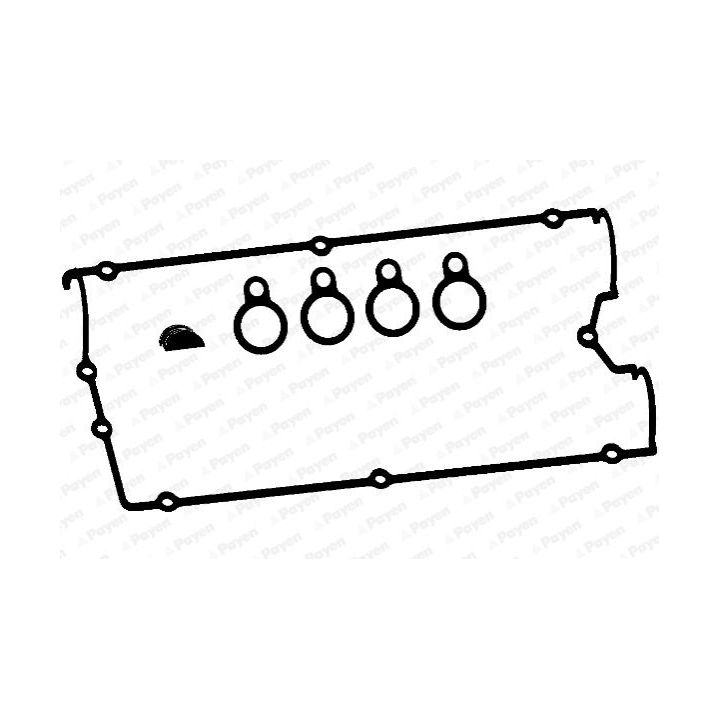 Tarpiklių komplektas, svirties gaubtas PAYEN HM5272