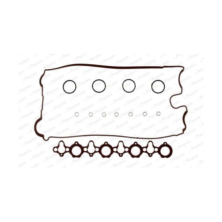 Tarpiklių komplektas, svirties gaubtas PAYEN HM5290