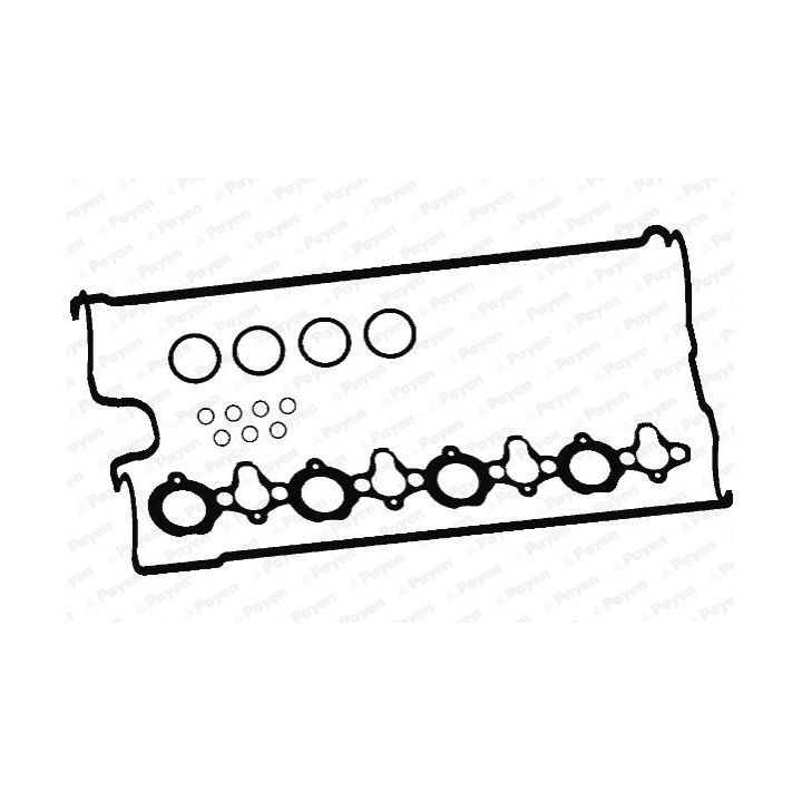 Tarpiklių komplektas, svirties gaubtas PAYEN HM5290