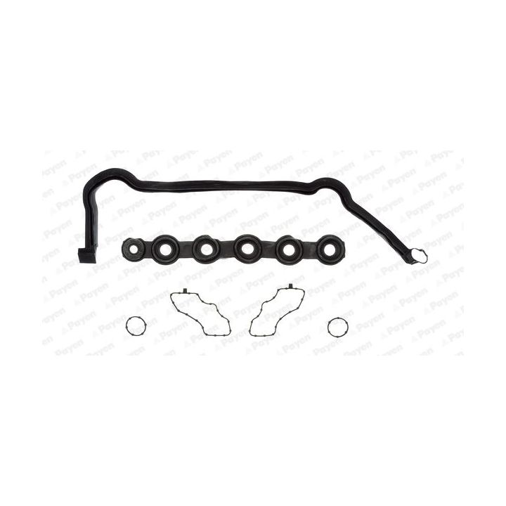 Tarpiklių komplektas, svirties gaubtas PAYEN HM5291