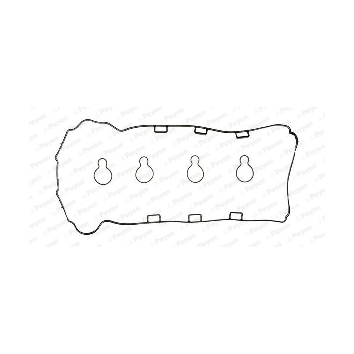 Tarpiklių komplektas, svirties gaubtas PAYEN HM5370