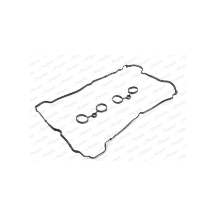 Tarpiklių komplektas, svirties gaubtas PAYEN HM5371