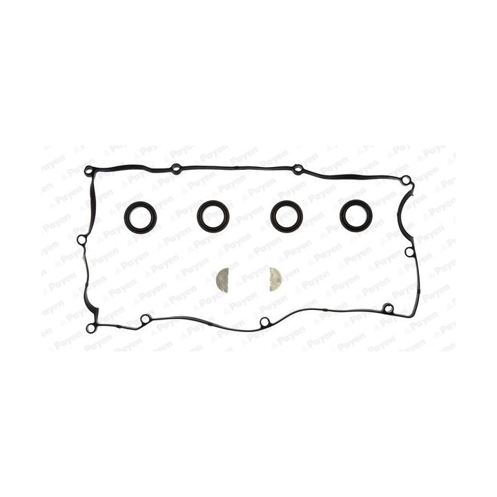 Tarpiklių komplektas, svirties gaubtas PAYEN HM5374