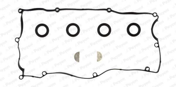 Tarpiklių komplektas, svirties gaubtas PAYEN HM5374