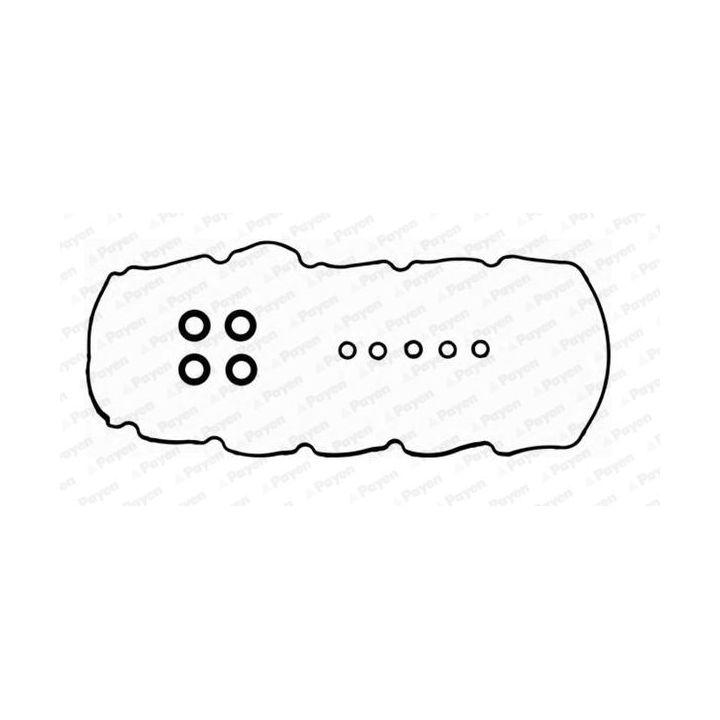 Tarpiklių komplektas, svirties gaubtas PAYEN HM5393