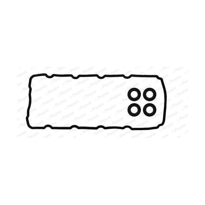 Tarpiklių komplektas, svirties gaubtas PAYEN HM5402