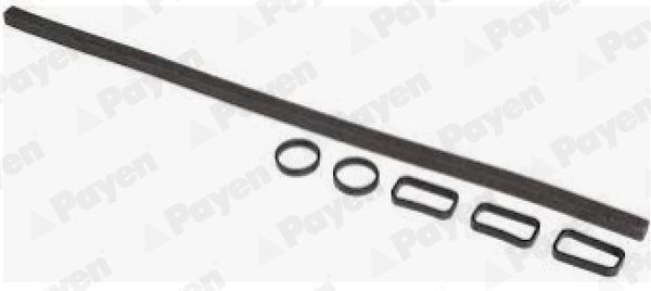 Tarpiklių komplektas, svirties gaubtas PAYEN HM5409