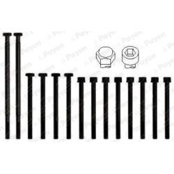 Varžtų kompl., cil. galvutės varžtai PAYEN HBS010