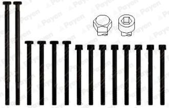 Varžtų kompl., cil. galvutės varžtai PAYEN HBS010