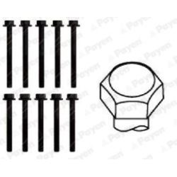 Varžtų kompl., cil. galvutės varžtai PAYEN HBS051