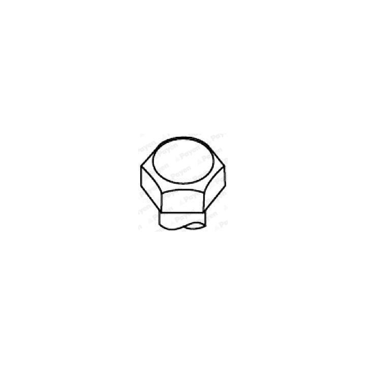 Varžtų kompl., cil. galvutės varžtai PAYEN HBS305