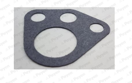 Veleno sandariklis, alyvos siurblys PAYEN LR922