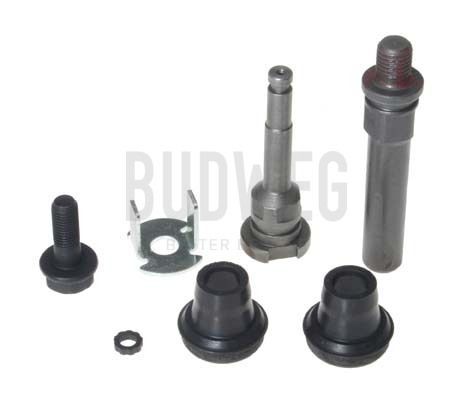 Kreipiančiųjų movų rinkinys, stabdžių apkaba BUDWEG CALIPER 169159