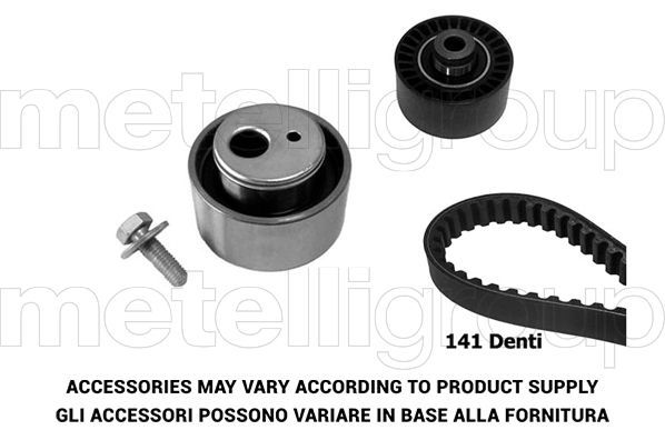 Paskirstymo diržo komplektas METELLI 29-0049