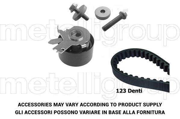 Paskirstymo diržo komplektas METELLI 29-0074