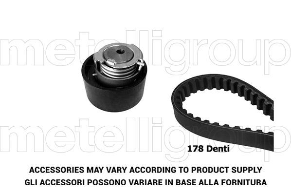 Paskirstymo diržo komplektas METELLI 29-0169