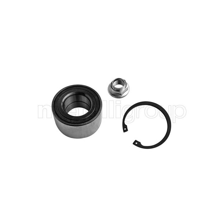 Rato guolio komplektas METELLI 19-7694