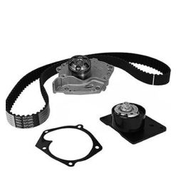 Vandens siurblio ir paskirstymo diržo komplektas METELLI 30-1095-1