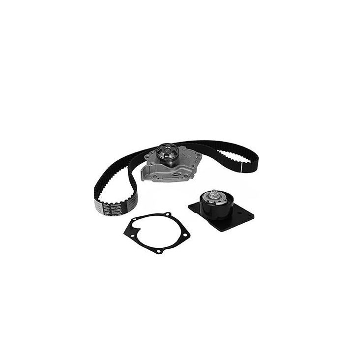 Vandens siurblio ir paskirstymo diržo komplektas METELLI 30-1095-1