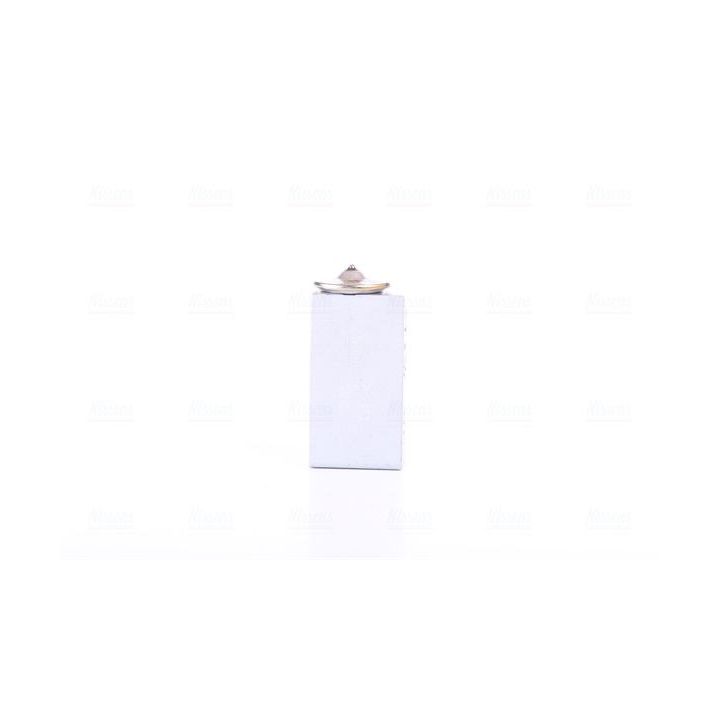 Išsiplėtimo vožtuvas, oro kondicionavimas NISSENS 999351