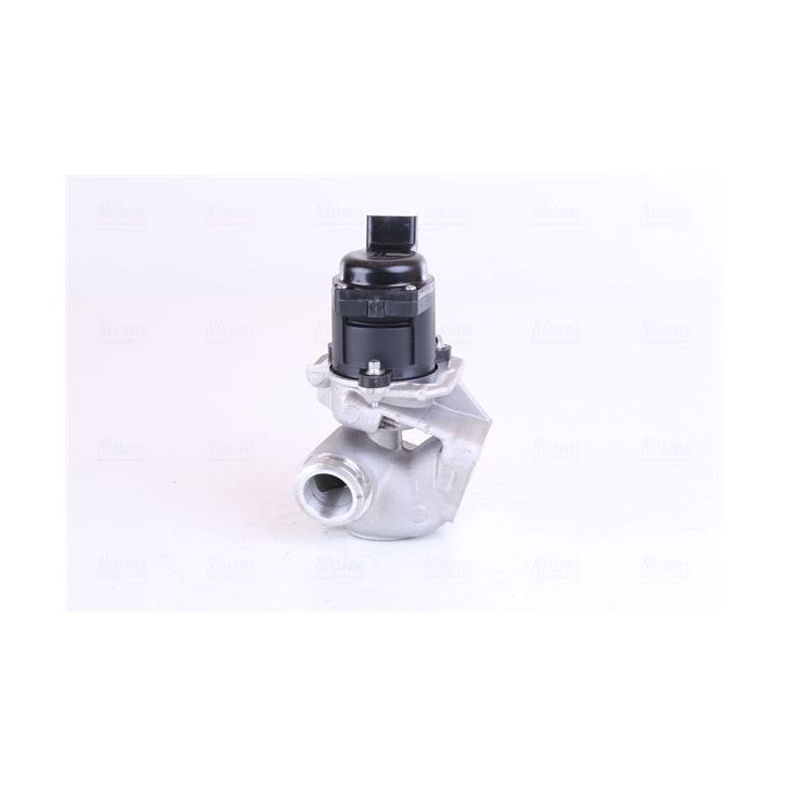 ERG vožtuvas NISSENS 98150