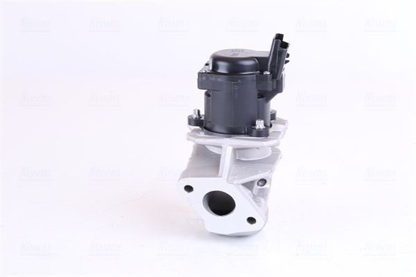 ERG vožtuvas NISSENS 98150