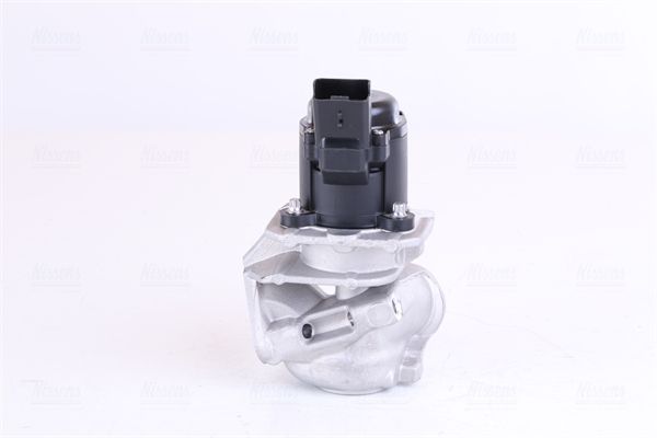 ERG vožtuvas NISSENS 98150