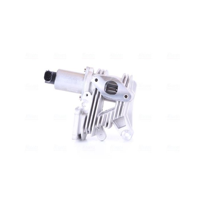 ERG vožtuvas NISSENS 98189